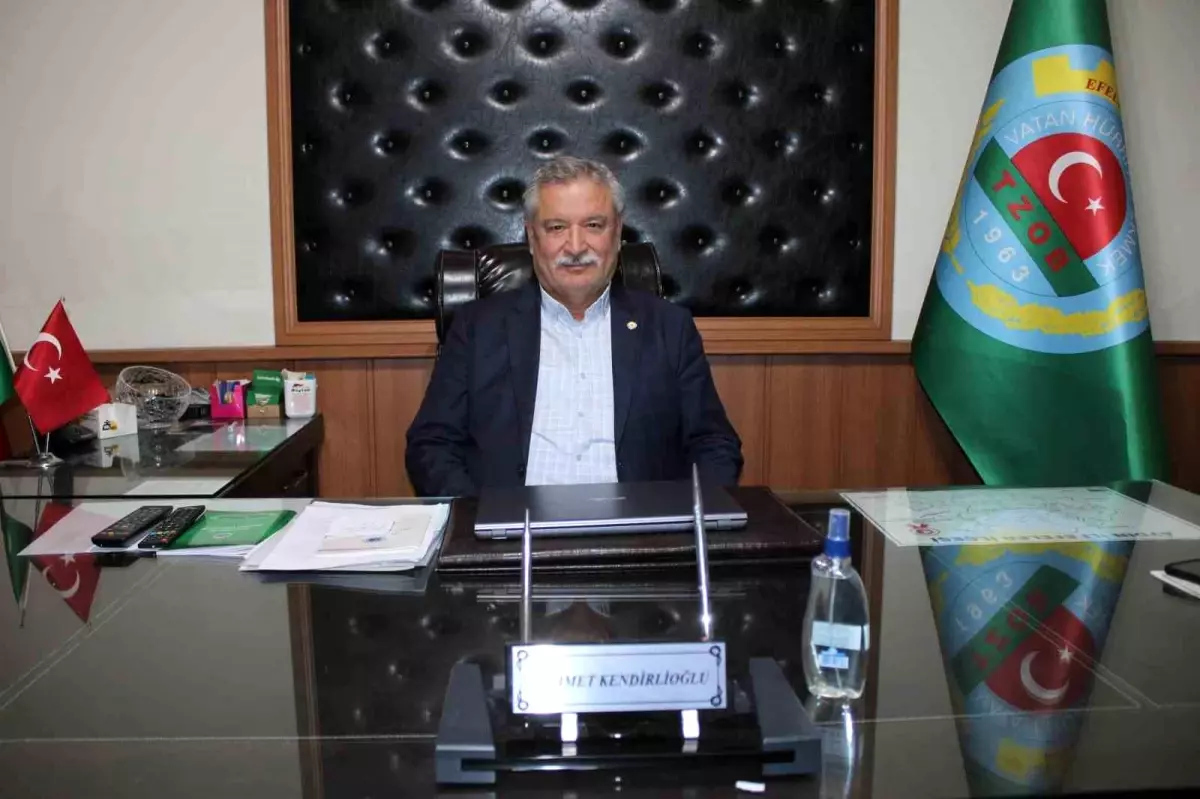 Pamuk Üretimi Tehlikede