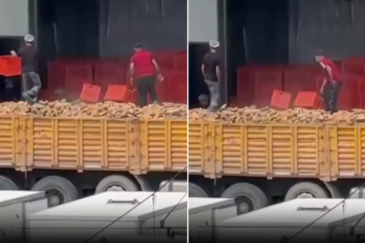 Belediyeye ait fırında infial yaratan görüntü