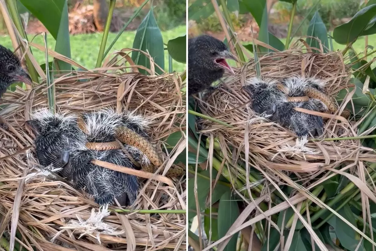 Bir annenin çaresizliği: Kayda alan kişi müdahale etmedi, videoyu izleyenler kahroldu