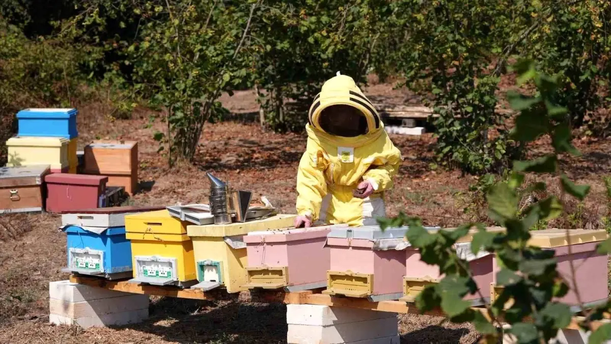 Düzce Üniversitesi Mezunları FAO\'nun Gıda Kahramanı