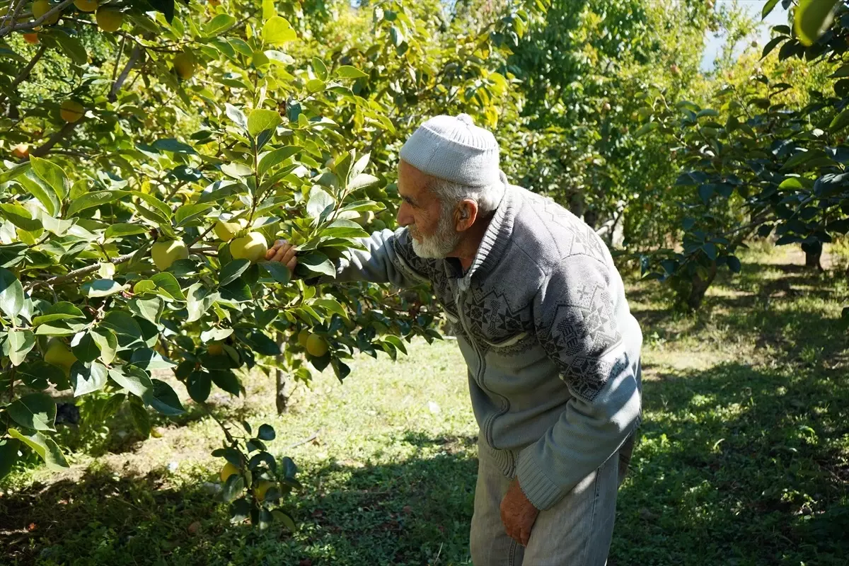 İbrahim Amca\'nın Hayır Bahçesi