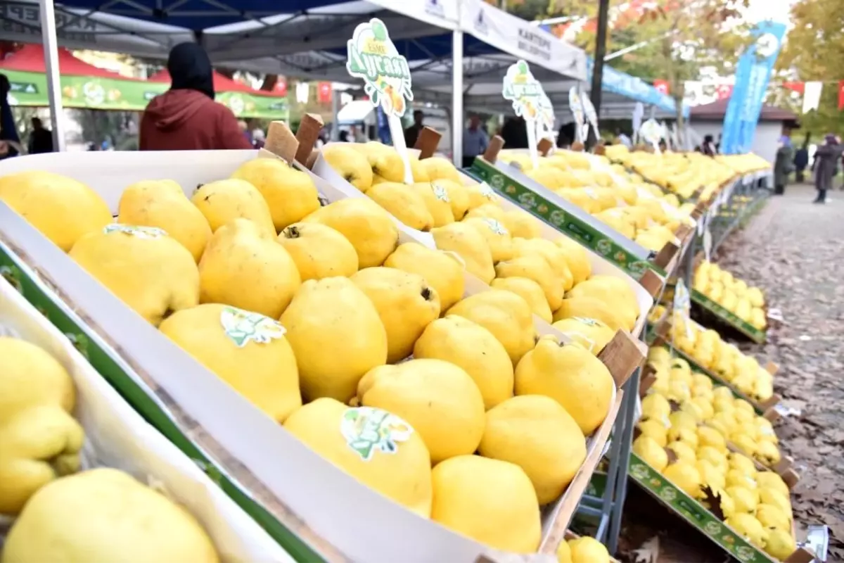 Kartepe\'de Eşme Ayva Festivali 26 Ekim\'de Düzenlenecek