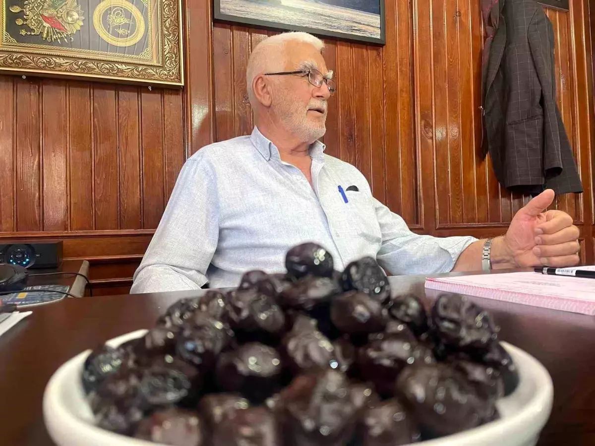 Gemlik\'ten İsviçre\'ye Zeytin İhracatı