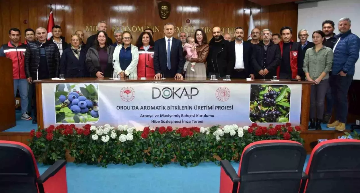 Ordu\'da Aromatik Bitki Üretimi Artıyor