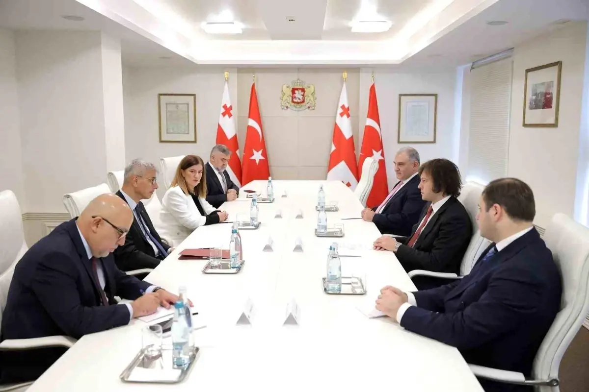 Türkiye-Gürcistan Sağlık İş Birliği