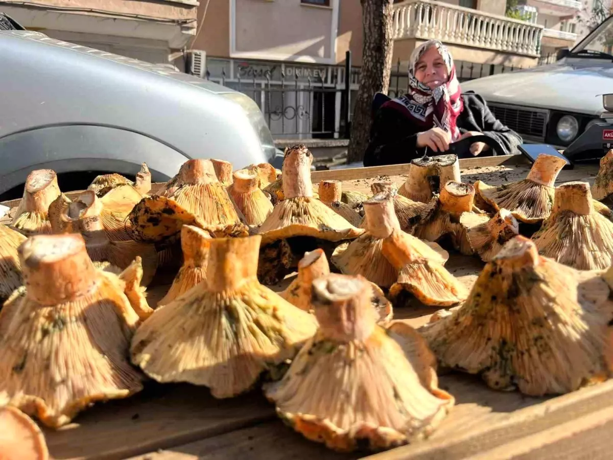 Tavşanlı\'da Mantar Pazarı Canlandı