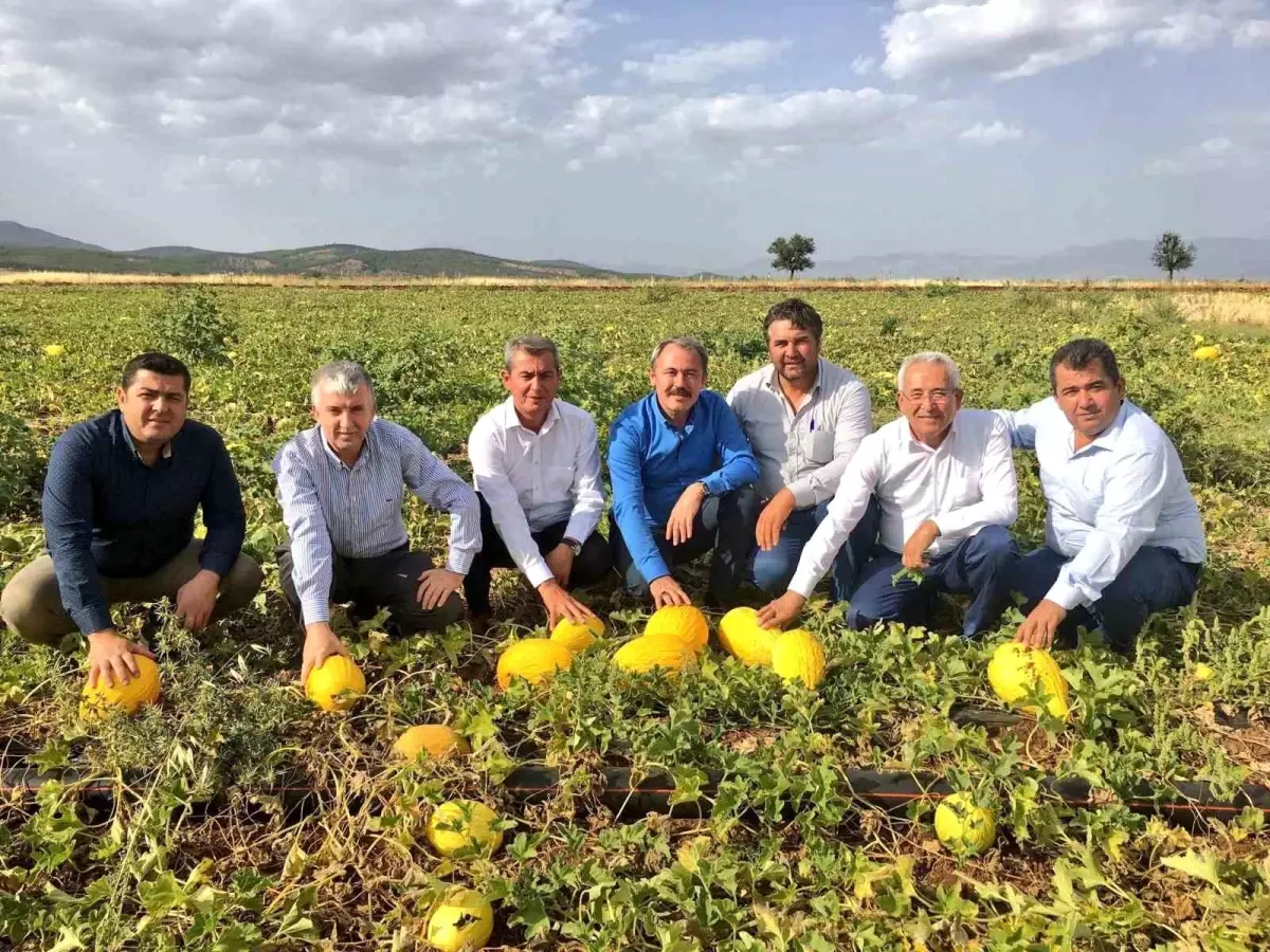 Acıpayam Kavunu\'na Coğrafi İşaret