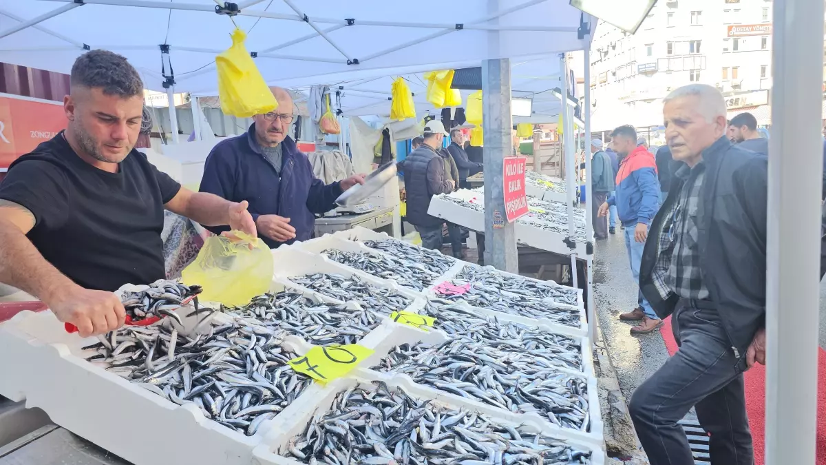 Zonguldak\'ta Hamsi Fiyatları 70 Liraya Düşünce Tezgahlar Doldu