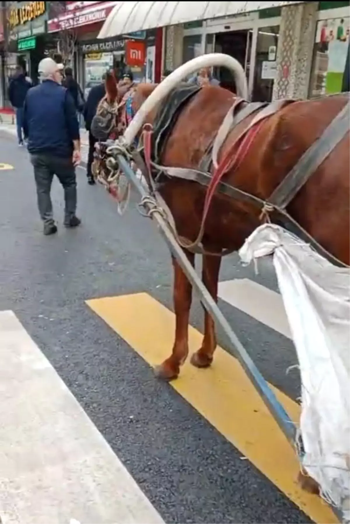 Yaya Geçidine At Arabası Park Etti, Cezası 993 TL
