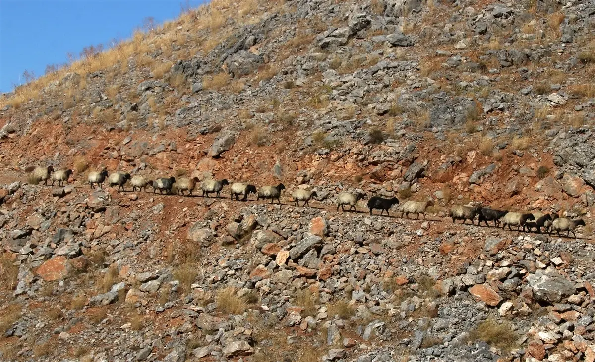 Göçerler Bitlis\'ten Dönüşte