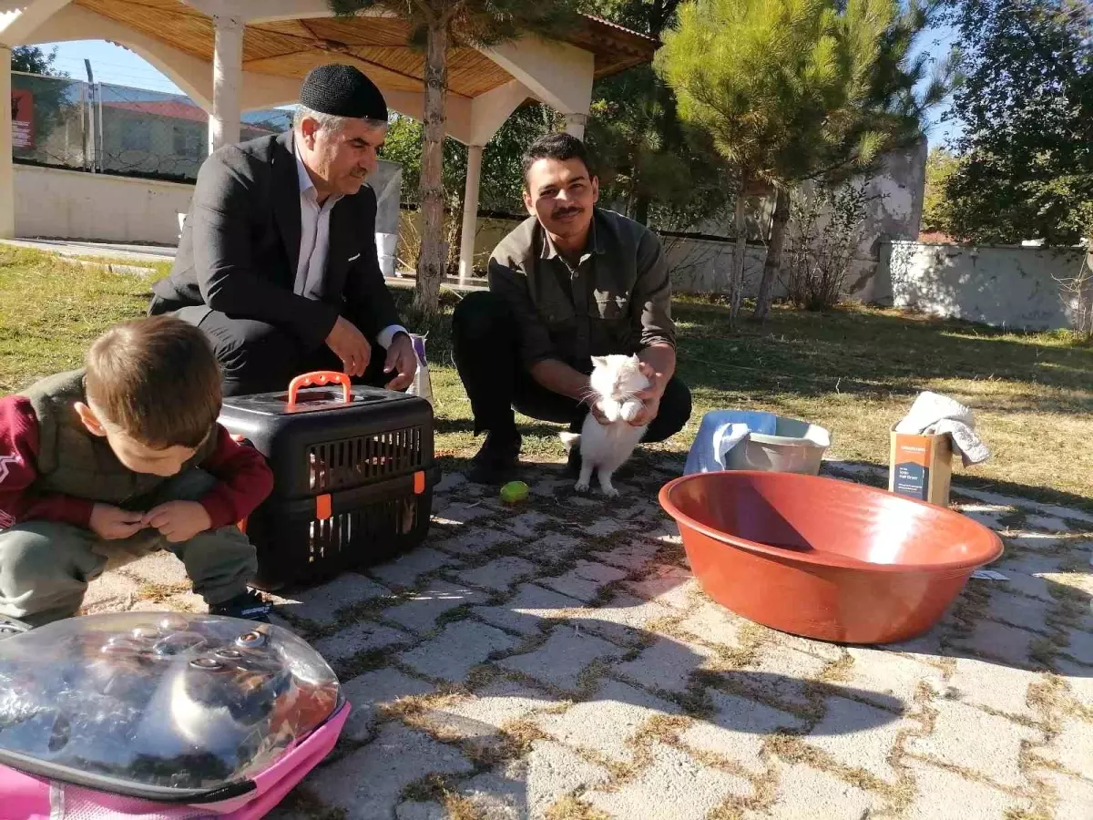 İmam Hatip\'ten Kedilere Şefkat