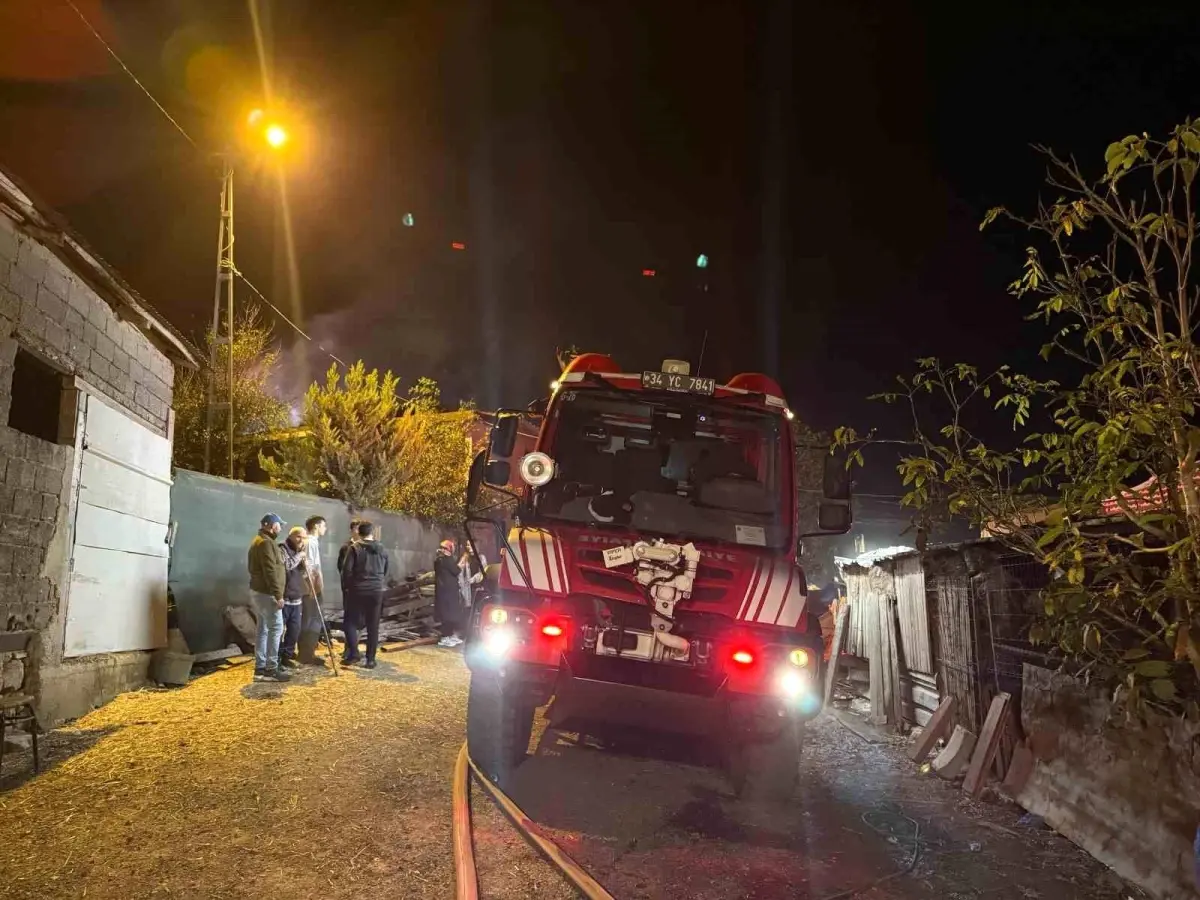 Çatalca\'da Yangın: 4 Hayvan Telef Oldu