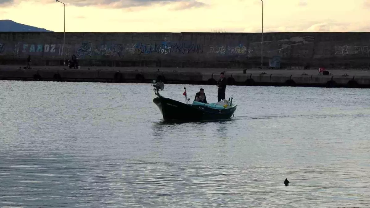 Doğu Karadeniz\'de Palamut Krizi