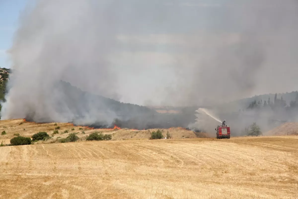 İpsala Kaymakamlığı\'ndan Anız Yakma Uyarısı