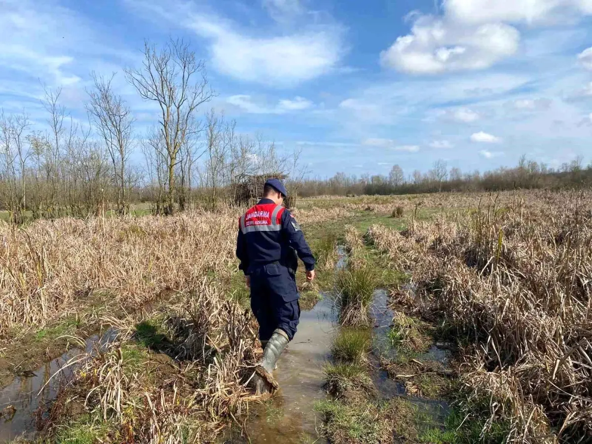 Sakarya\'da Yasak Güme İmha Edildi