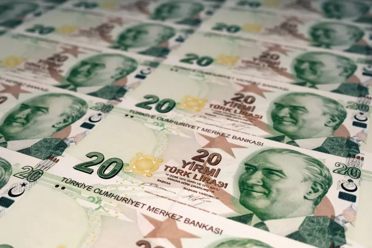 Merkez Bankası duyurdu! Yeni 20 TL\'lik banknotlar bugün tedavüle çıkıyor