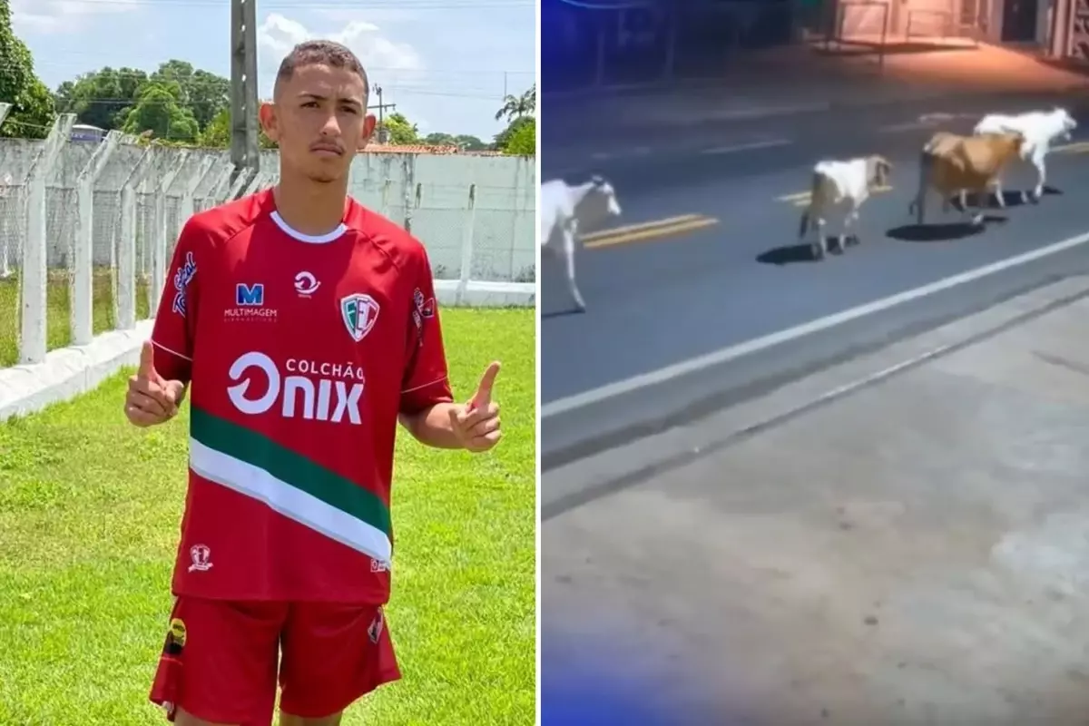 Ölüm anı kamerada! Başıboş inekler, genç futbolcuyu hayattan kopardı