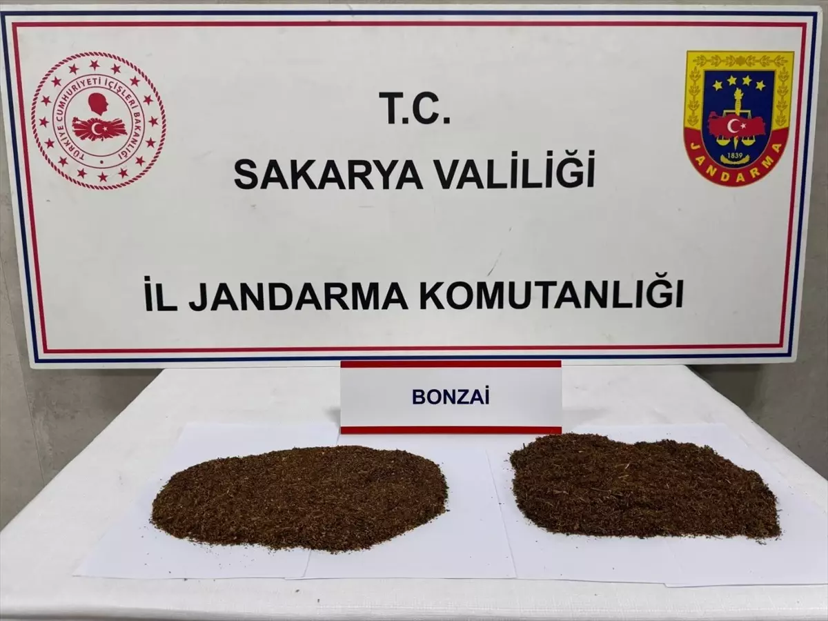 Sakarya\'da Uyuşturucu Operasyonu: 2 Tutuklama
