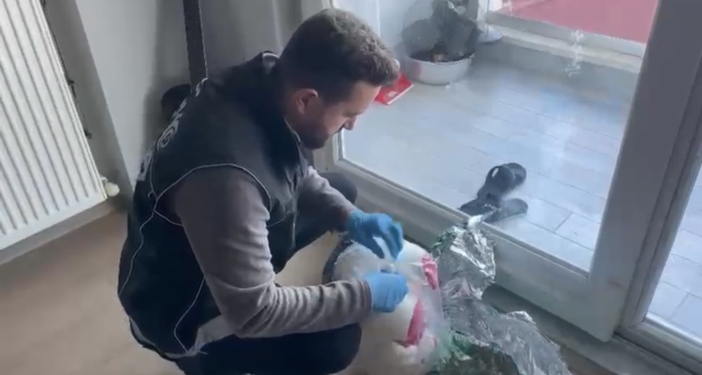 Samsun'da oyuncak ayıda gizlenmiş 150 gram kokain ele geçirildi Samsun'da oyuncak ayıda gizlenmiş 150 gram kokain ele geçirildi