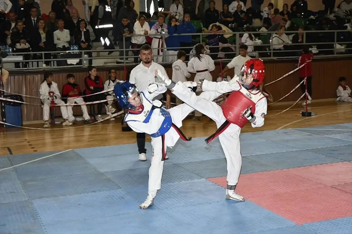 Malkara\'da Tekvando Balkan Kupası Yapıldı