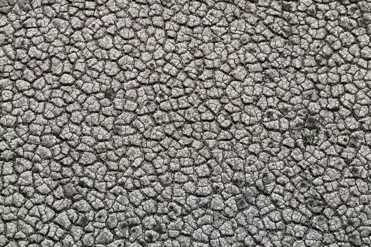 Görüntü Türkiye\'nin tarım merkezinden! Çekilen fotoğraflar kıtlığın habercisi