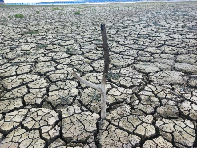 Türkiye'nin tarım merkezinin hali içler acısı! Görüntü bugün çekildi Türkiye'nin tarım merkezinin hali içler acısı! Görüntü bugün çekildi