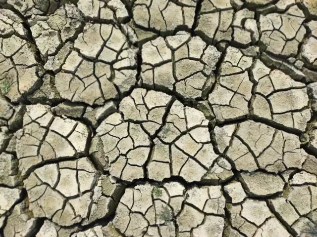 Türkiye'nin tarım merkezinin hali içler acısı! Görüntü bugün çekildi Türkiye'nin tarım merkezinin hali içler acısı! Görüntü bugün çekildi