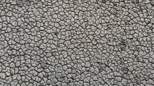 Türkiye'nin tarım merkezinin hali içler acısı! Görüntü bugün çekildi Türkiye'nin tarım merkezinin hali içler acısı! Görüntü bugün çekildi