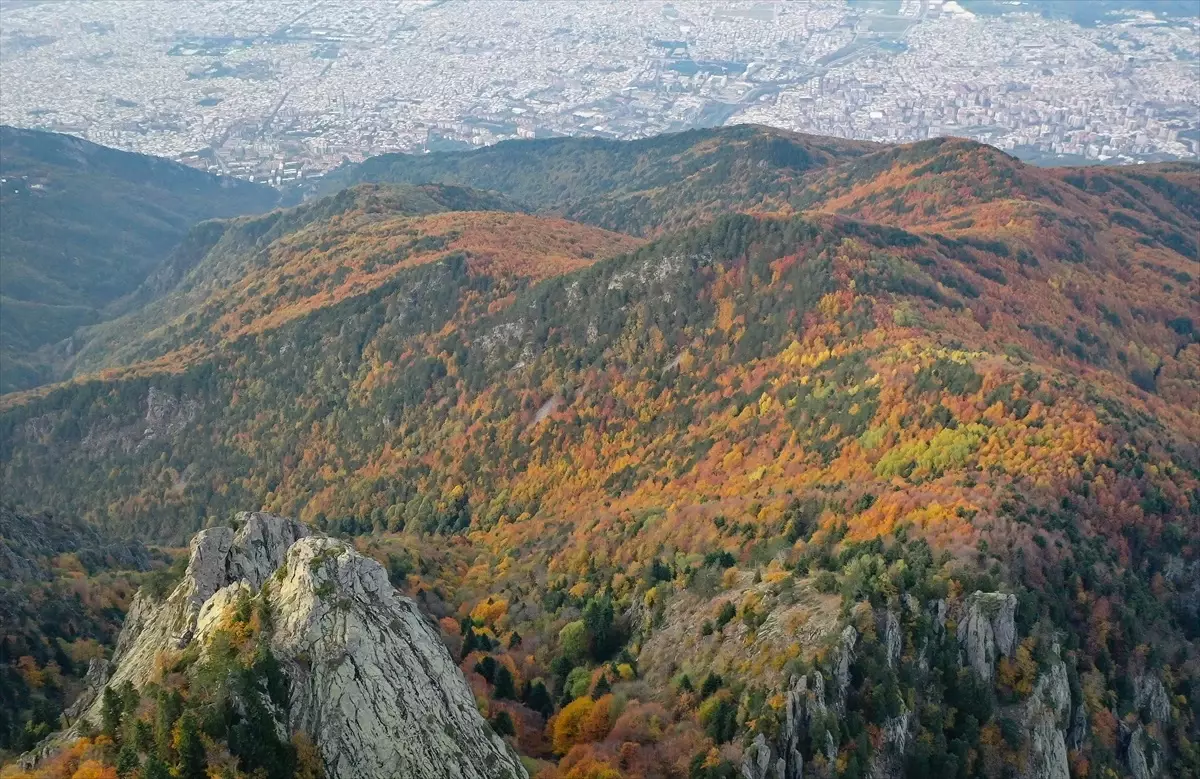 Uludağ\'daki Sonbahar Renkleri