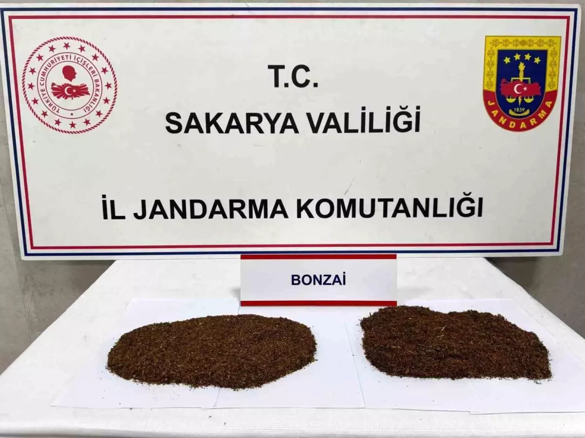 Sakarya\'da Uyuşturucu Operasyonu: 2 Tutuklama