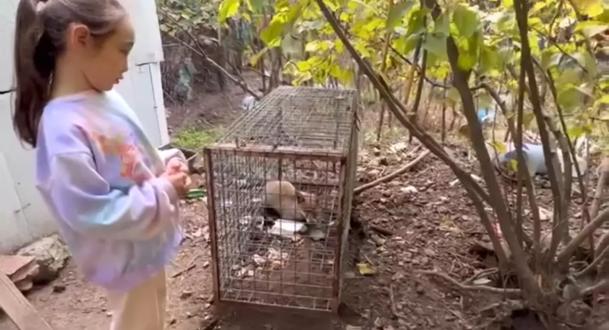 Küçük Kızın Tilki Koyumu Yürek Isıttı