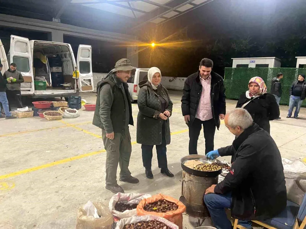 Düzce Kestanesinin Hasadı ve Önemi