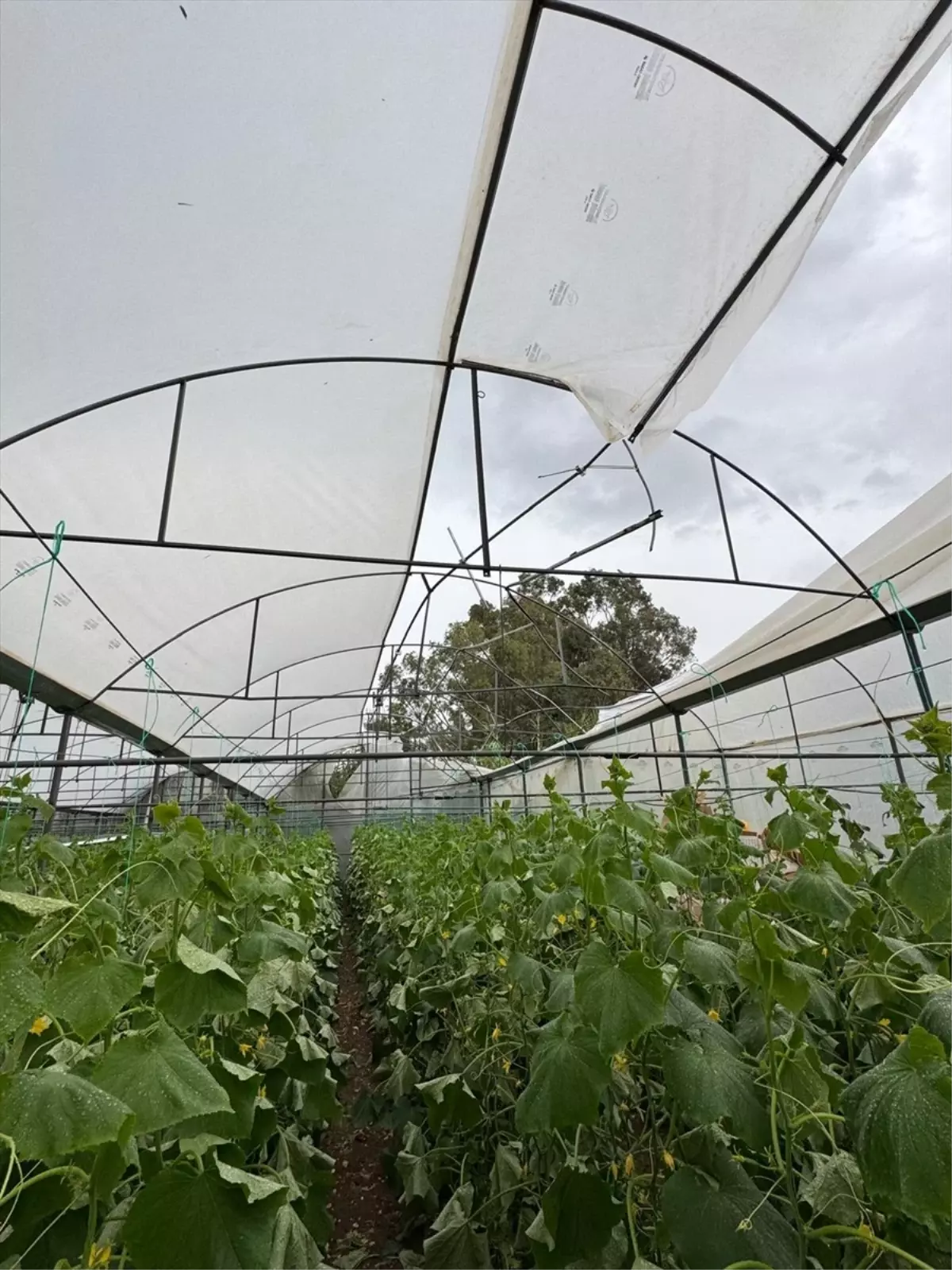 Antalya\'da Sağanak Yağış Hayatı Olumsuz Etkiledi