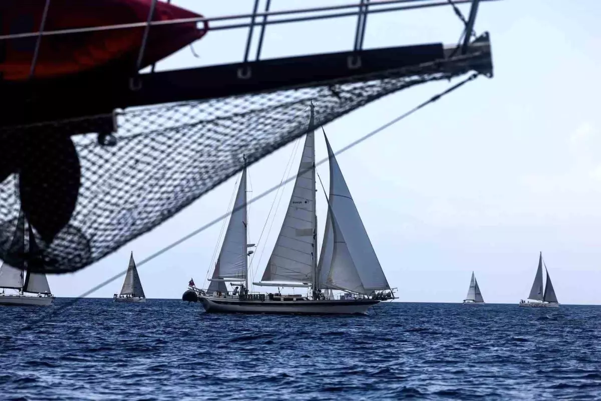 37. Bodrum Cup Heyecanı Başladı