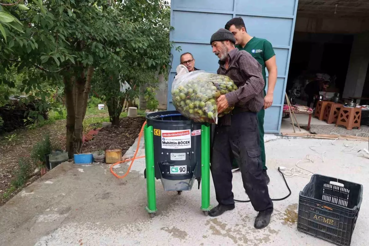 Antalya\'da Ceviz Soyma Makineleri Üreticilerin Hizmetinde
