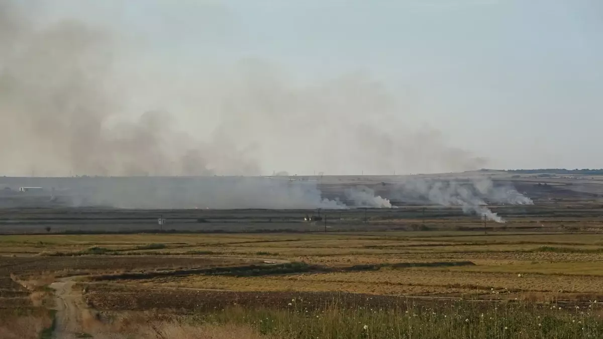 Anız Yakmaya Tepki Gösterdiler