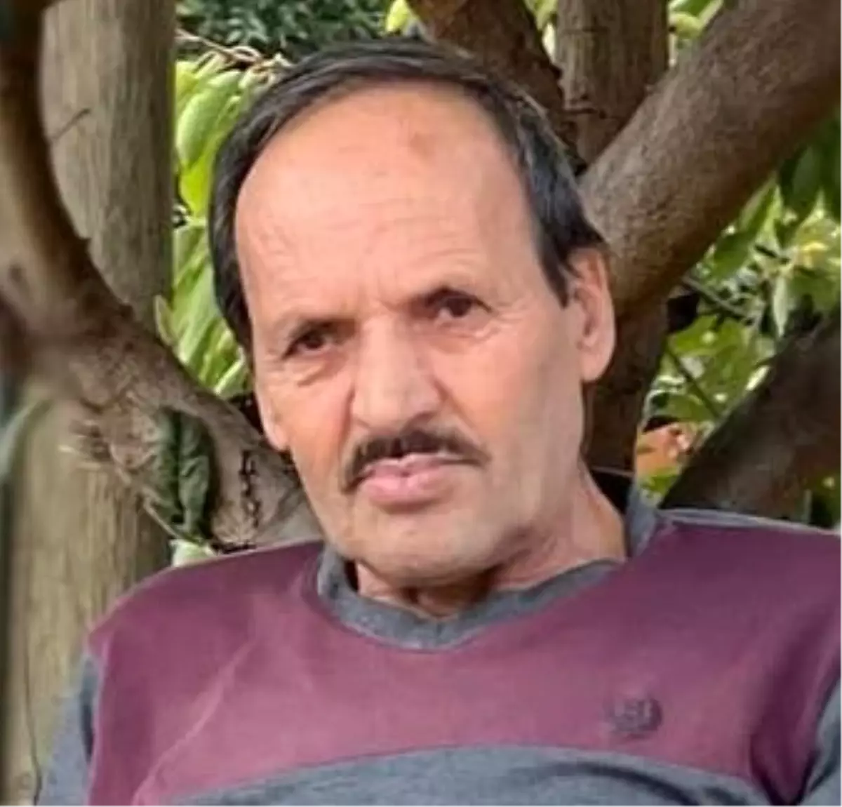 Acıpayamda Çıntar Toplayan Yaşlı Adam Kalp Krizinden Hayatını Kaybetti