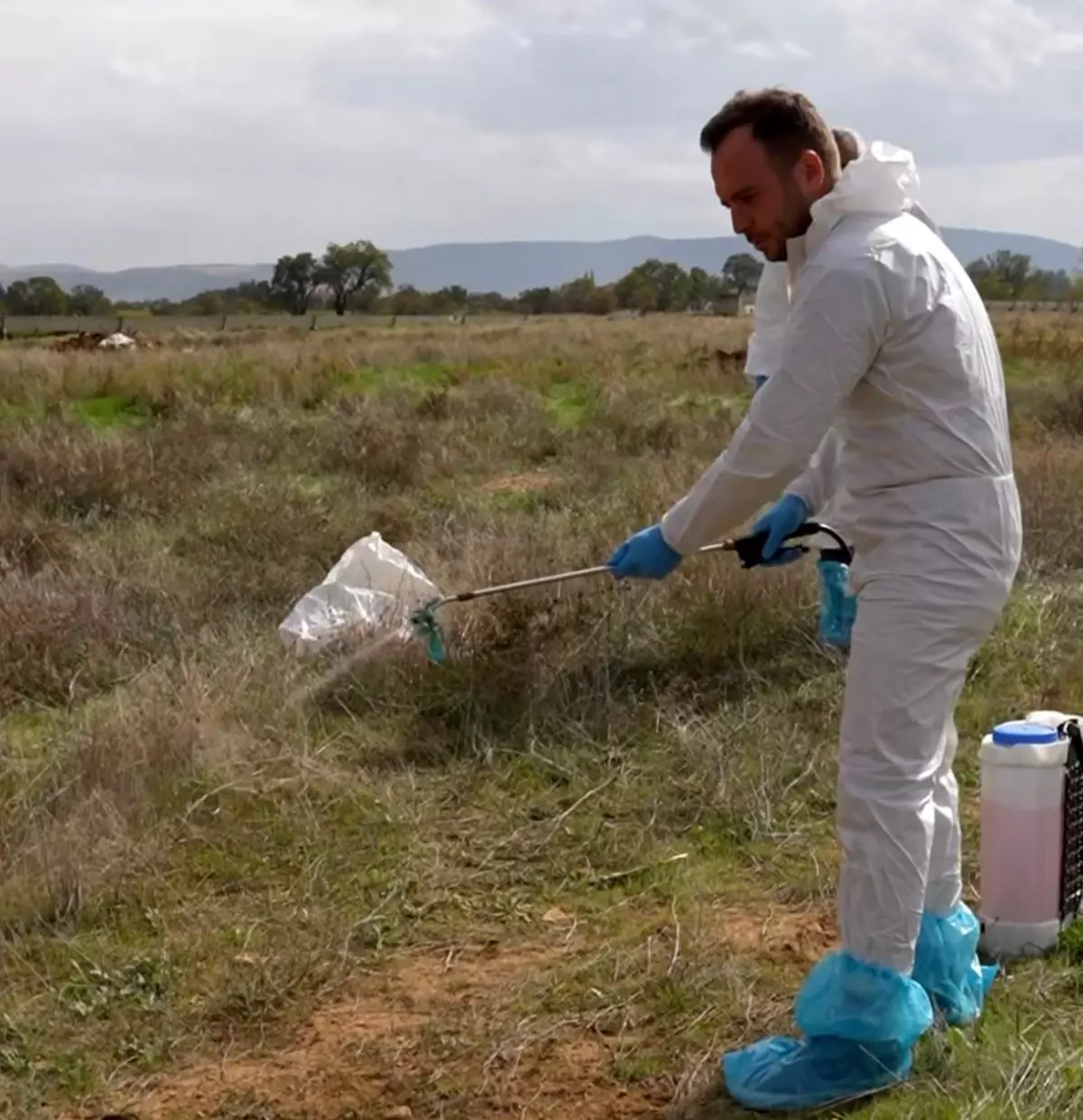 Çivril Belediyesi Şap Hastalığı ile Mücadeleye Devam Ediyor