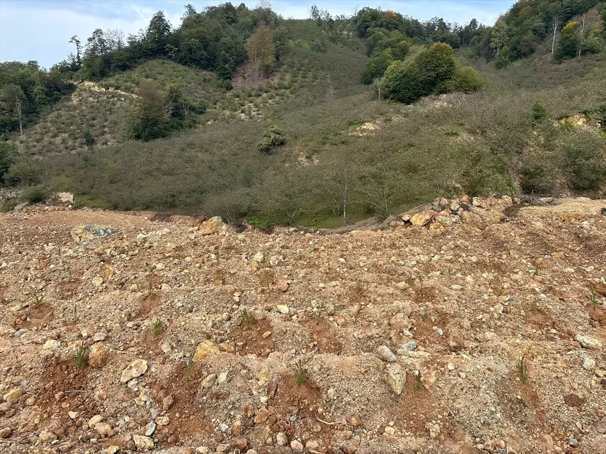 Üniversite Öğrencilerinden Fidan Dikimi