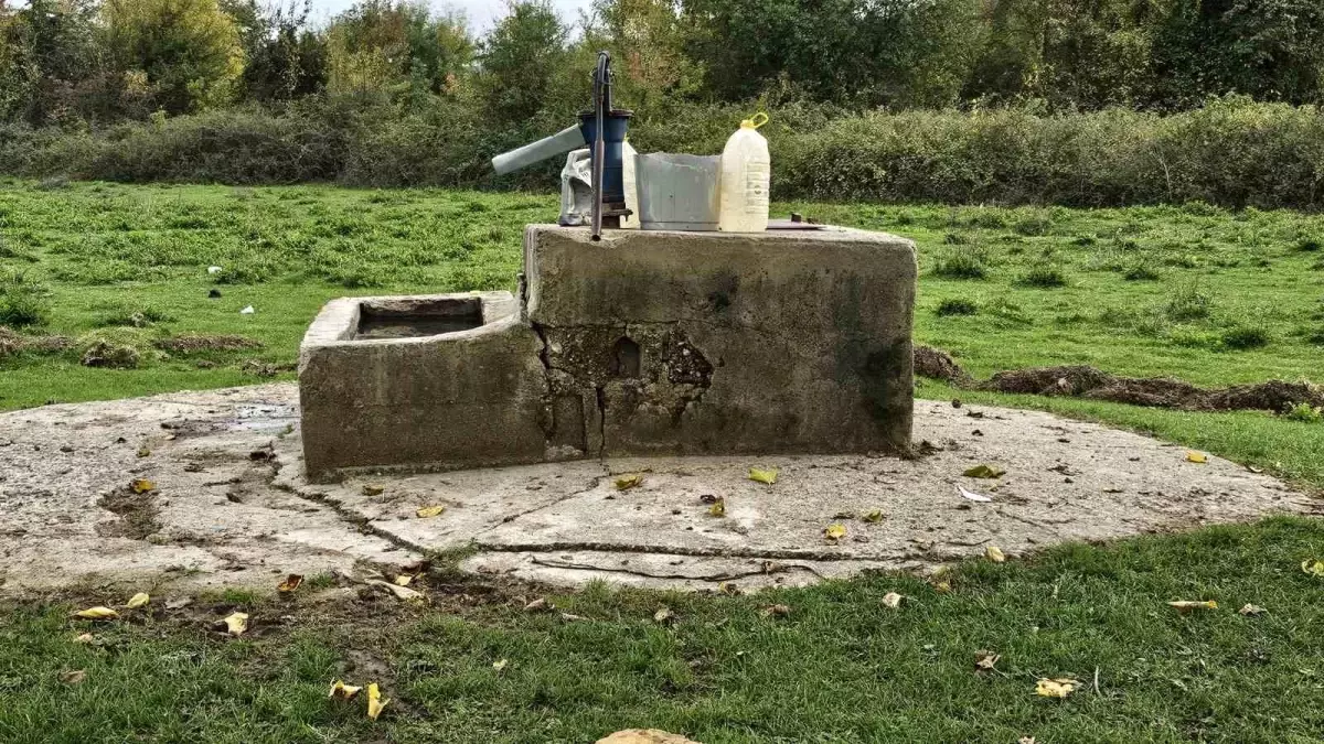 Zonguldak\'ta cinayet: 17 yaşındaki Hasret\'in katil zanlıları tutuklandı