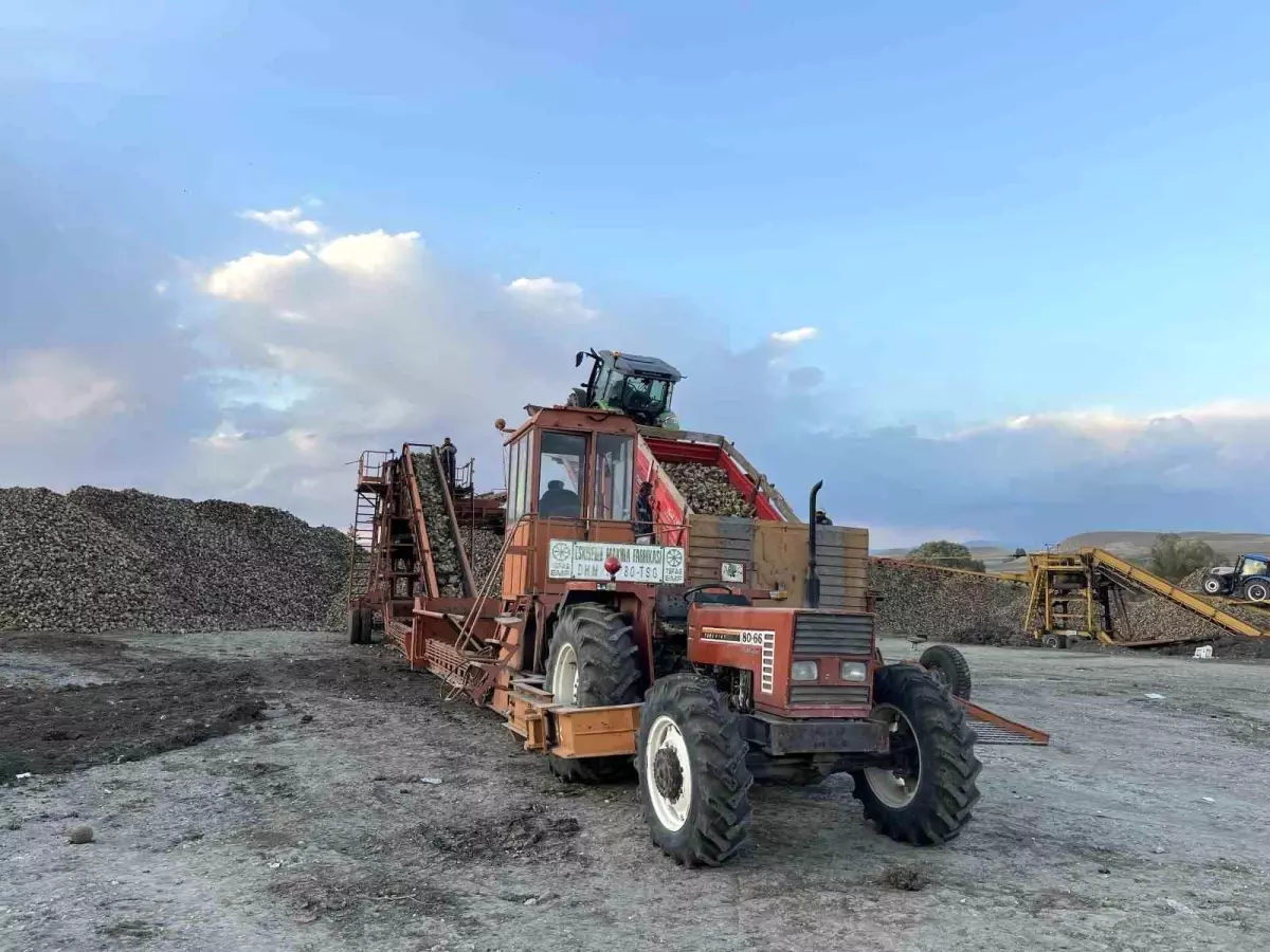 Kars\'ta Şeker Pancarı Hasadı Zamanla Yarışıyor