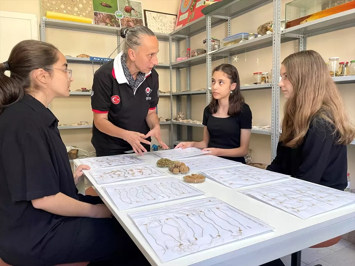 BİLSEM Öğrencileri Biyostimülant Projesiyle Yarışmaya Katılıyor