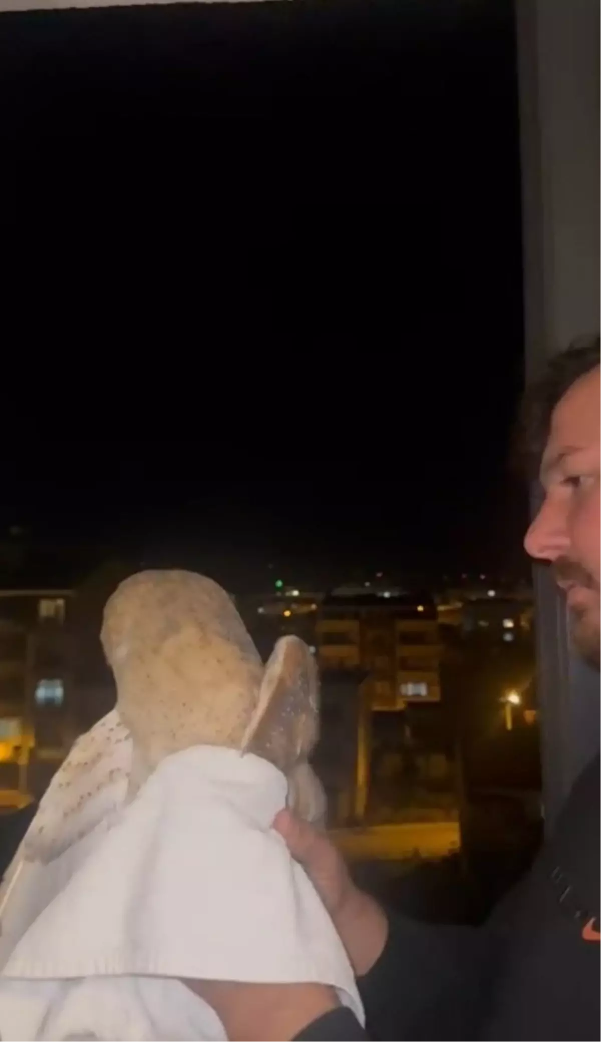 Baykuş Karacabey\'de Balkona Girdi