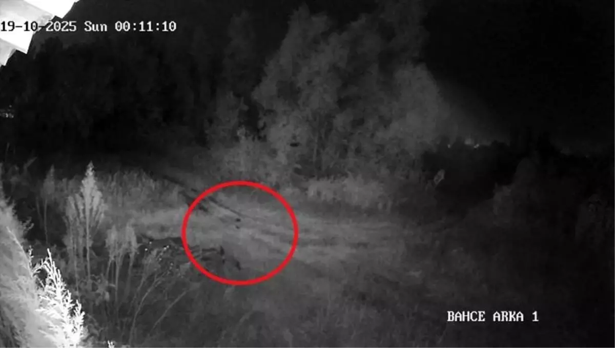 Kayıp genç mahallede panik yarattı