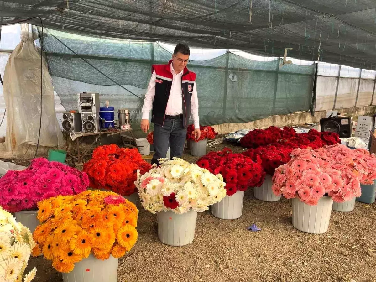 Tarım Müdürü Çiftçileri Ziyaret Etti