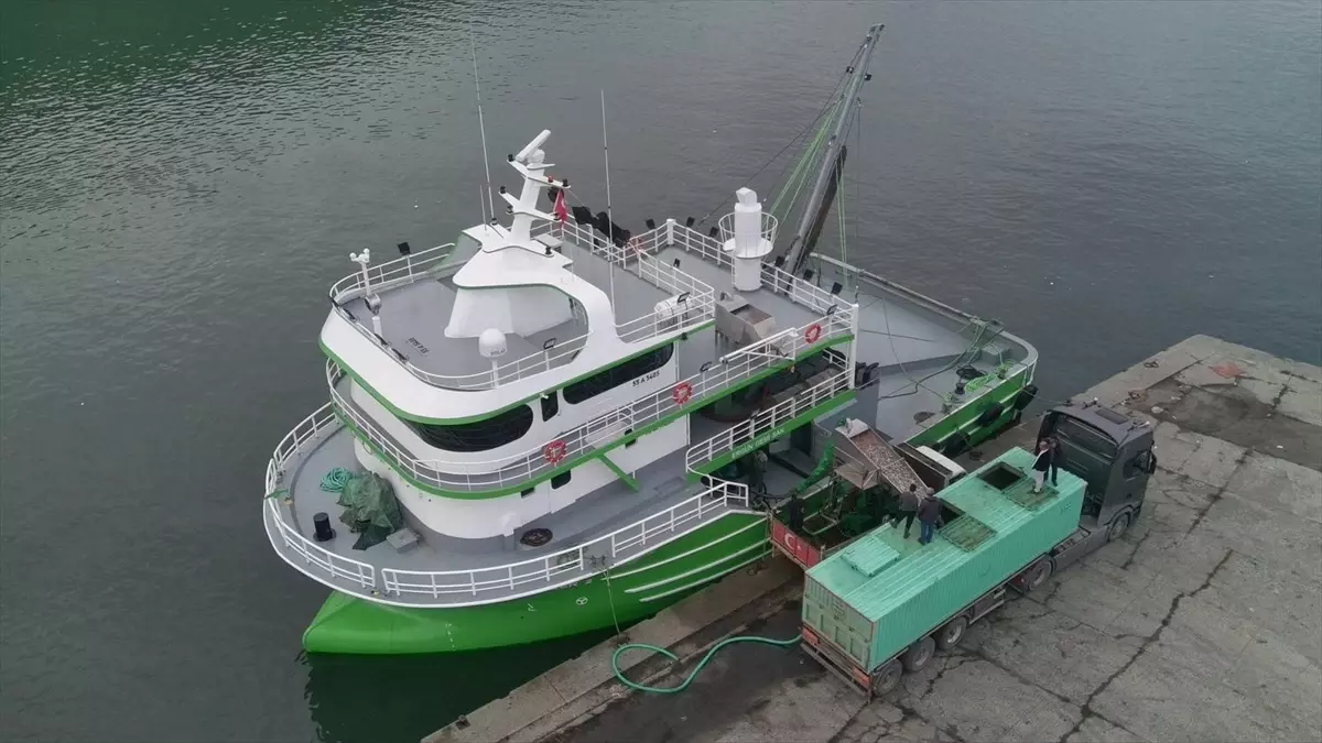 Hamsi Avı Bereketli Geçiyor