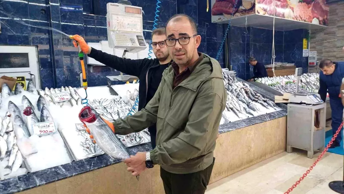 Kayseri\'de Hamsi Bolluğu