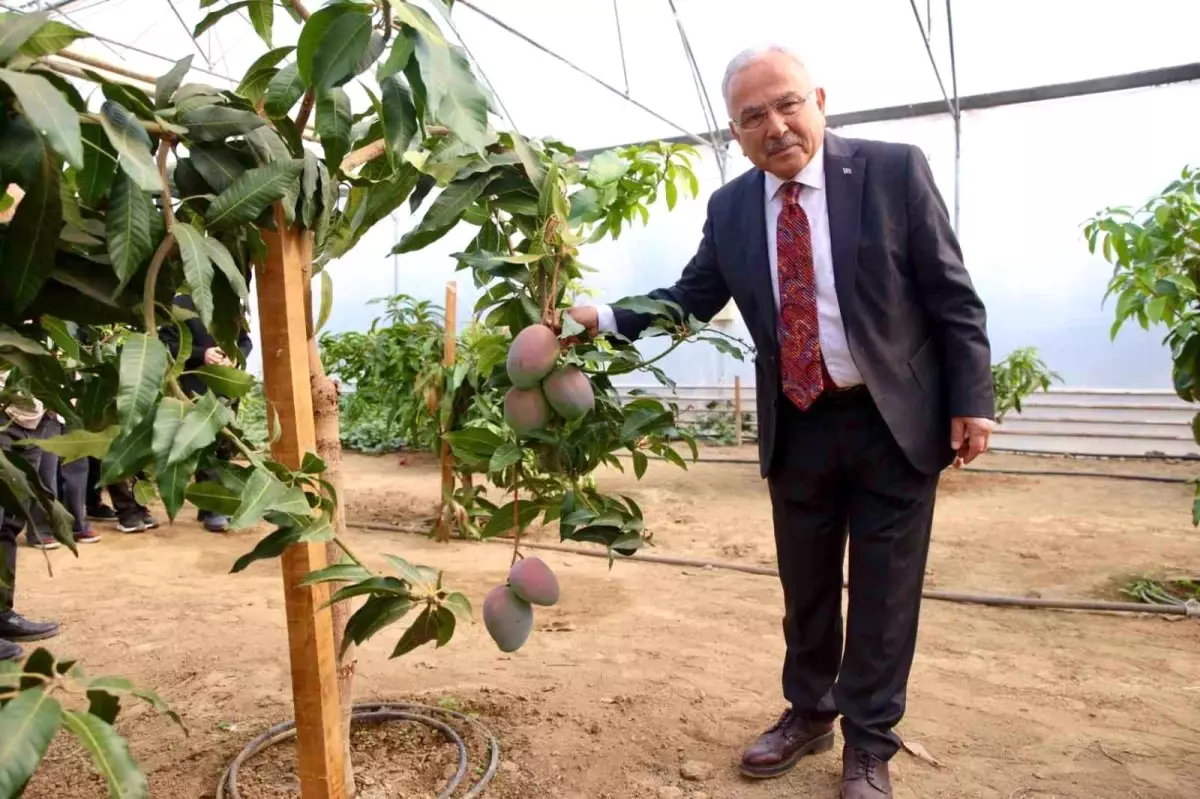 Ordu\'da Gençlere Tarım Sevgisi Aşılanıyor