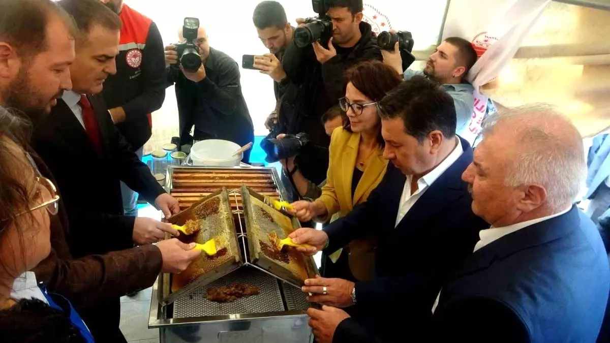 Muğla\'da Çam Balı Hasat Şenliği Düzenlendi