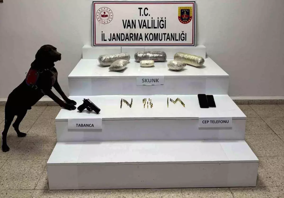 Van\'da 4 Kilo Skunk Ele Geçirildi